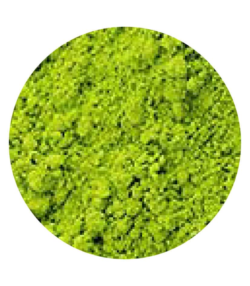 Poudre de Thé vert – Image 2