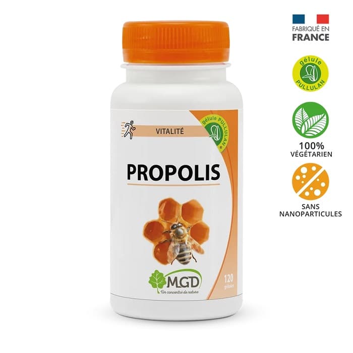 PROPOLIS_mgd maroc