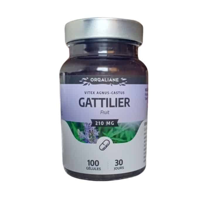 gph gattilier 100 gélules