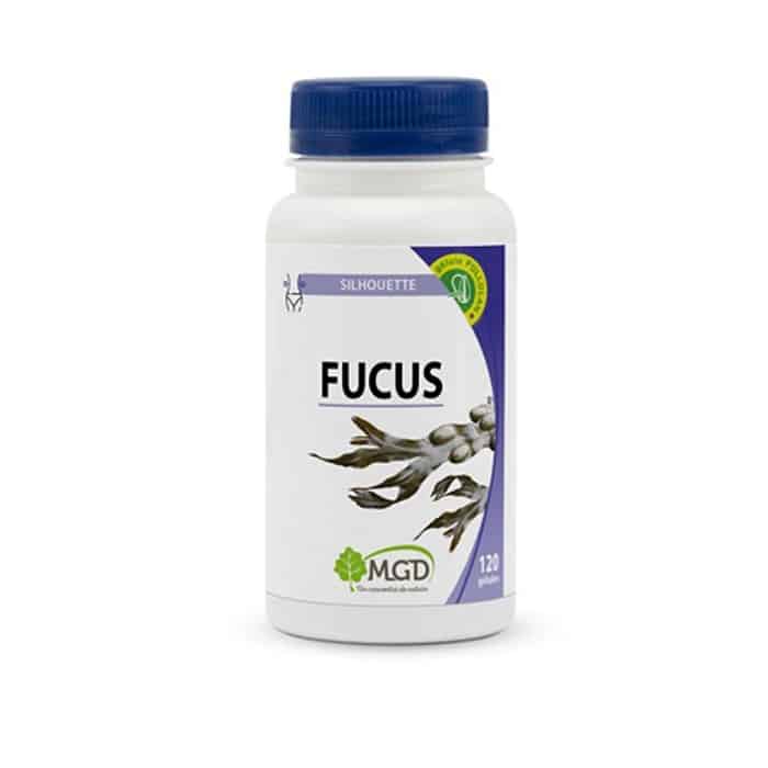 mgd fucus silhouette